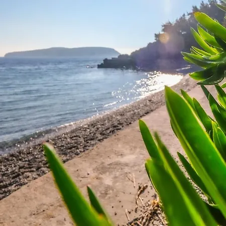 Mimas Feriehus Hisarcik