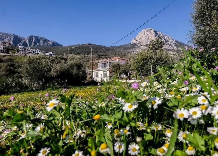 Дом отдыха Mimas