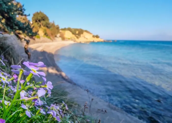 Дом отдыха Mimas *